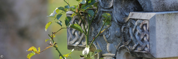 Protestantischer Friedhof