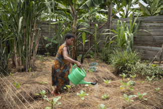 Joy Kamusiime, 38, bewässert den Gemüsegarten ihres Hauses im Dorf Kikunda 1 im Distrikt Rwampara.